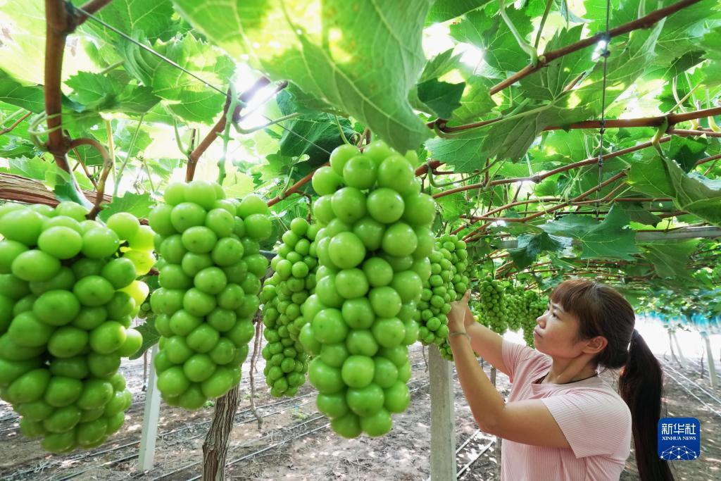环球国际登录